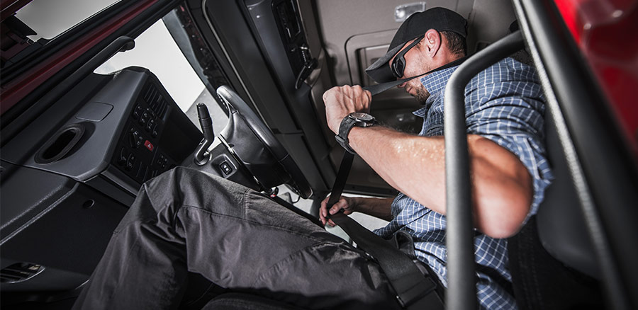 driver putting on their seatbelt