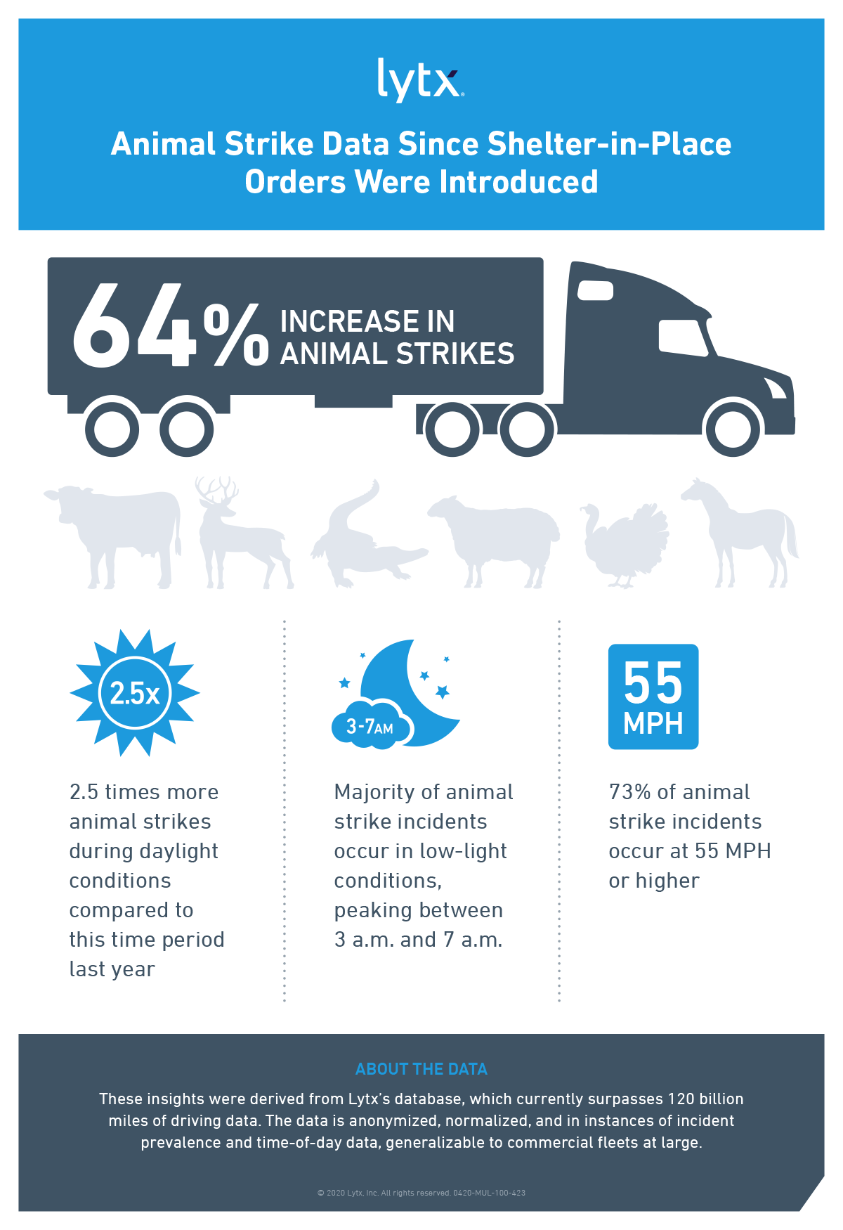 Animal strike infographic