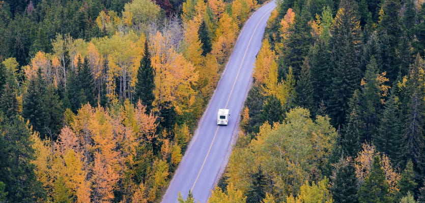 road through the woods with an RV